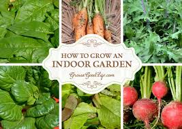 how to grow an indoor garden