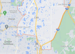 lutz fl carpet upholstery cleaners