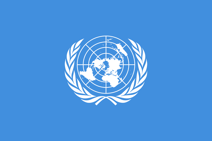 THE UNITED NATIONS ORGANISATION