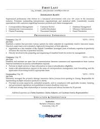 Insurance Agent Resume Sample Professional Resume Examples