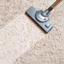 professional carpet cleaning best