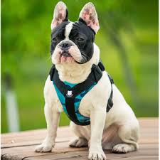 We've reviewed the best frenchy harnesses on the market, 100% satisfaction guaranteed. Amazon Com Bulldog Grade Harness For English American French Bulldogs Custom Fit No Pull Reflective Vest Harnesses For Your Bully Xl Bulldog Red Pet Supplies