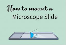 how to mount a microscope slide rs
