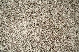 nylon vs triexta carpet fibers