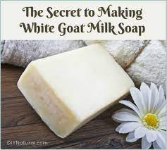 make goat milk soap white secrets to
