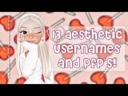 13 aesthetic usernames and pfp s ll