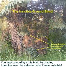 free deer hunting ground blind plans