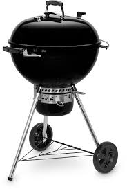 charcoal barbecue master touch gbs e