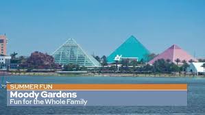 moody gardens the perfect summer road trip