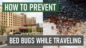 bed bug travel tips prevent bed bugs