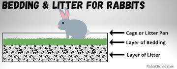 the best litter for rabbits safe no