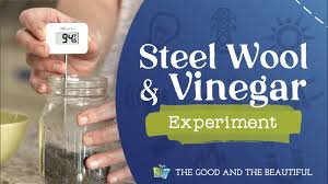 steel wool and vinegar experiment