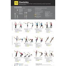 trx exercise chart flexibility