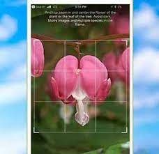 With these 10 best plant identifier apps for android, you can identify trees, flowers and much more with snapped photos. 4 Plant Identification Apps For Iphone