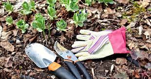 Garden Spring Clean Up And Prep Tips