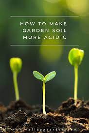 make your soil more acidic organically