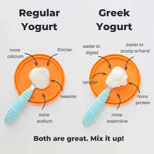 what is the best yogurt for es
