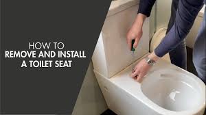 how to remove and install a toilet seat