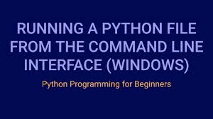 how to run a python file from the