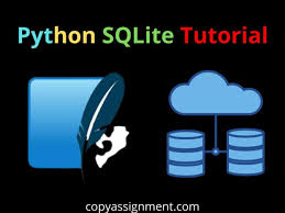 python sqlite tutorial copyignment