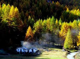 Risultati immagini per paesaggi di montagna VALLE DAOSTA