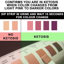 Ketolabs Ketone Test Strips Accurately Measures Ketosis In 15 Seconds Designed For Ketogenic And Low Carb Diets 100 Strips