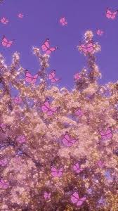 Butterfly butterflies wallpapers aesthetic purple mademoiselle special armoire background iphone bykoket drawing why backgrounds puran them bhagavath srimad screen mahapuran. 8 Wallpaper Butterfly Aesthetic Purple Pictures