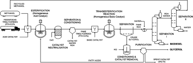 Heterogeneous Acid Catalysts For Biodiesel Production