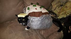 potato cat costume