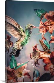 Hummingbird Wallpaper Painting Bird