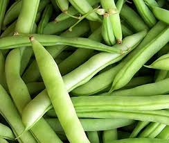 half runner green beans recipe