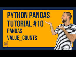pandas value counts function python