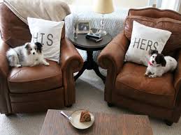 tips for a pet friendly home