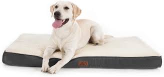 dog bed pet bed cleaning gibson s