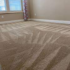 carpet upholstery cleaning reviews