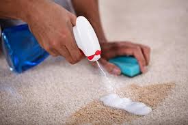 Best Way to Clean Carpet [3 Vital Steps]