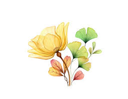 watercolor yellow flower images