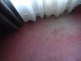 can carpet cleaning help my allergies