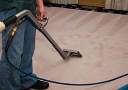 clearwater carpet cleaners