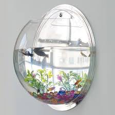 fish tank wall hanging terrarium fish