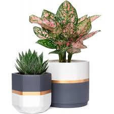 Ceramic Indoor Gardening Pots The