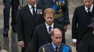 Queen funeral viewers sob as Princes William and Harry get emotional during  coffin procession - Irish Mirror Online