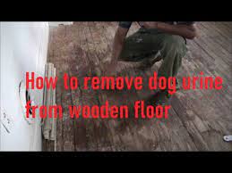 pet odor in hardwood floor