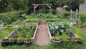Vegetable Garden Design Basics Hobby