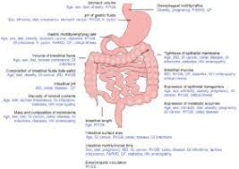 impact of gastrointestinal physiology