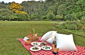 book direct makaranga garden lodge