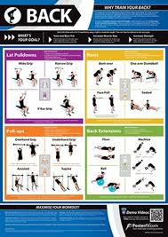 Gym And Fitness Chart Back L
