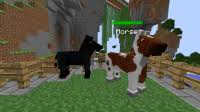 Mo Creatures Horse Chart 10 Best Images Of Minecraft
