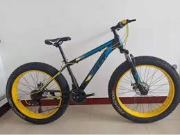 26 Size Fat Tyre Mountain Bicycle With 4 0 Tire Bike