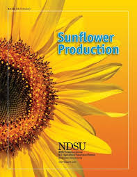 sunflower ion field guide your